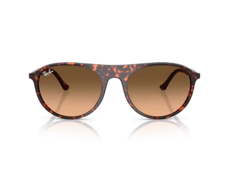 Ray-Ban Zonnebril RB 2215 14293B
