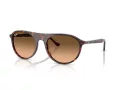 Ray-Ban Zonnebril RB 2215 14293B
