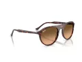 Ray-Ban Zonnebril RB 2215 14293B