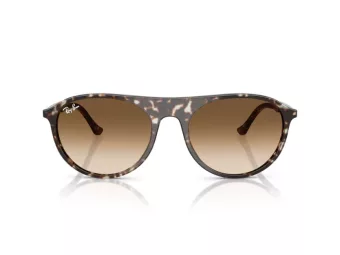Ray-Ban Zonnebril RB 2215 143151