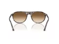 Ray-Ban Zonnebril RB 2215 143151