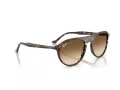 Ray-Ban Zonnebril RB 2215 143151