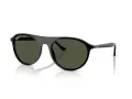Ray-Ban Zonnebril RB 2215 901/31