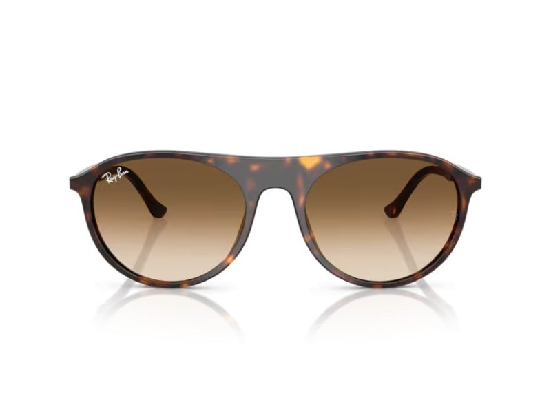 Ray-Ban Zonnebril RB 2215 902/51