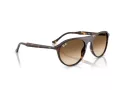 Ray-Ban Zonnebril RB 2215 902/51