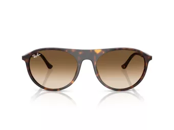 Ray-Ban Zonnebril RB 2215 902/51