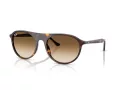 Ray-Ban Zonnebril RB 2215 902/51