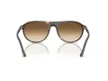 Ray-Ban Zonnebril RB 2215 902/51