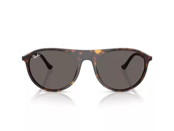 Ray-Ban Zonnebril RB 2215 902/B1