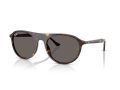 Ray-Ban Zonnebril RB 2215 902/B1