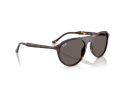 Ray-Ban Zonnebril RB 2215 902/B1