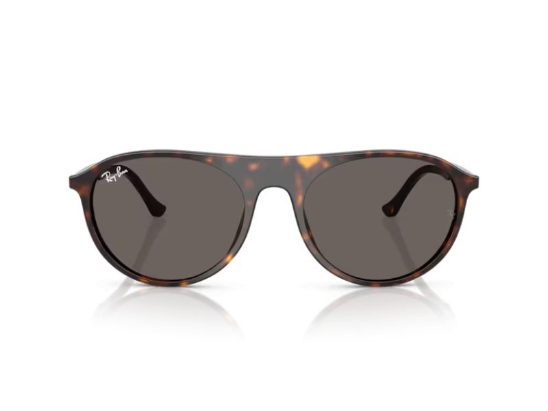 Ray-Ban Zonnebril RB 2215 902/B1