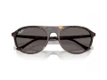 Ray-Ban Zonnebril RB 2215 902/B1