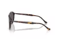 Ray-Ban Zonnebril RB 2215 902/B1