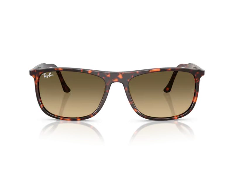 Ray-Ban Zonnebril RB 2216 14290A