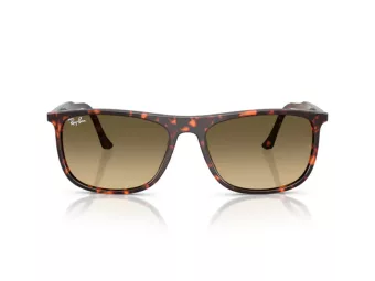 Ray-Ban Zonnebril RB 2216 14290A
