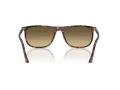Ray-Ban Zonnebril RB 2216 14290A