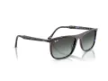 Ray-Ban Zonnebril RB 2216 1430GK