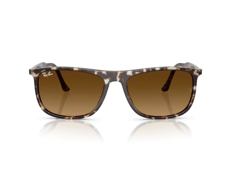 Ray-Ban Zonnebril RB 2216 143185