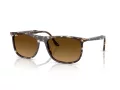 Ray-Ban Zonnebril RB 2216 143185