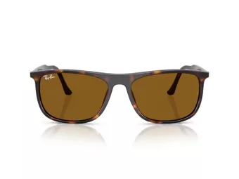 Ray-Ban Zonnebril RB 2216 902/33