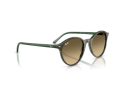 Ray-Ban Bernard Zonnebril RB 2230 14210A