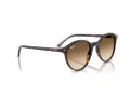 Ray-Ban Bernard Zonnebril RB 2230 902/51