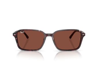Ray-Ban Raimond Zonnebril RB 2231 1416C5