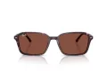 Ray-Ban Raimond Zonnebril RB 2231 1416C5