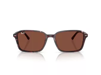 Ray-Ban Raimond Zonnebril RB 2231 1416C5