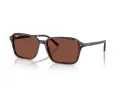 Ray-Ban Raimond Zonnebril RB 2231 1416C5