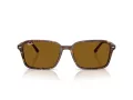 Ray-Ban Raimond Zonnebril RB 2231 141833