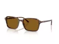 Ray-Ban Raimond Zonnebril RB 2231 141833