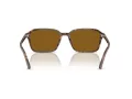 Ray-Ban Raimond Zonnebril RB 2231 141833