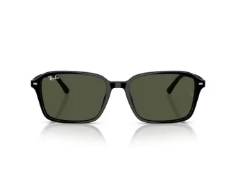 Ray-Ban Raimond Zonnebril RB 2231 901/31