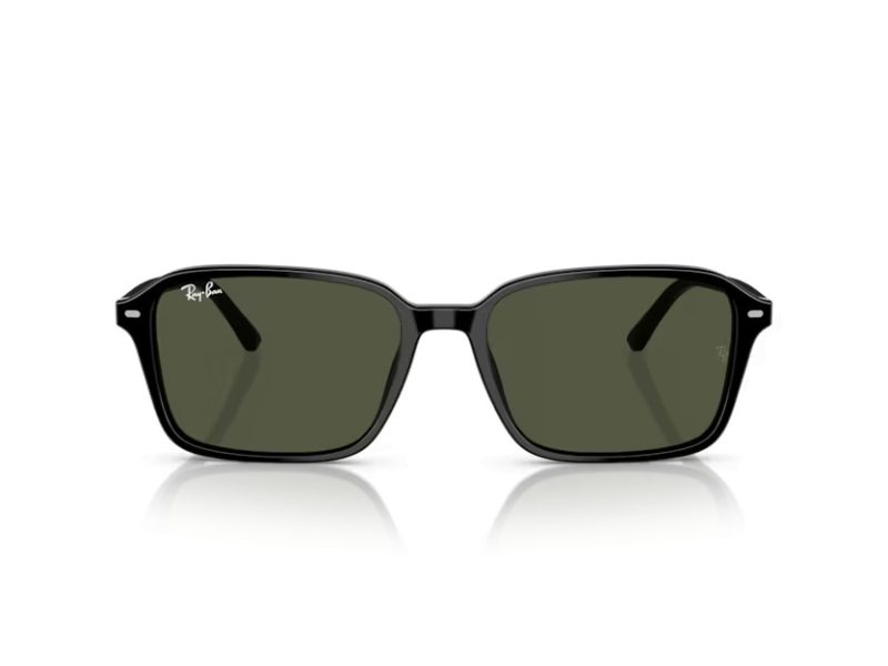 Ray-Ban Raimond Zonnebril RB 2231 901/31