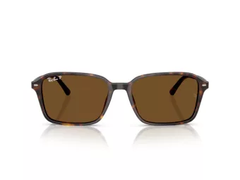Ray-Ban Raimond Zonnebril RB 2231 902/57
