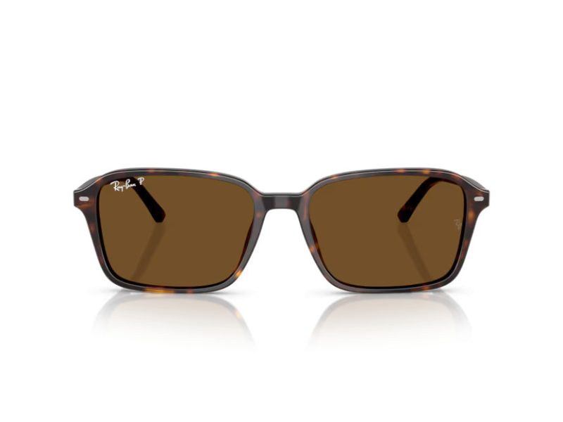 Ray-Ban Raimond Zonnebril RB 2231 902/57