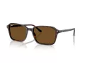 Ray-Ban Raimond Zonnebril RB 2231 902/57
