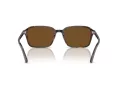 Ray-Ban Raimond Zonnebril RB 2231 902/57