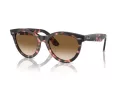 Ray-Ban Wayfarer Way Zonnebril RB 2241 133451
