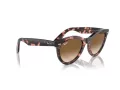 Ray-Ban Wayfarer Way Zonnebril RB 2241 133451