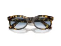 Ray-Ban Wayfarer Oval Zonnebril RB 2242 13323F