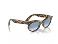 Ray-Ban Wayfarer Oval Zonnebril RB 2242 13323F
