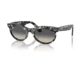 Ray-Ban Wayfarer Oval Zonnebril RB 2242 133371