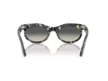 Ray-Ban Wayfarer Oval Zonnebril RB 2242 133371