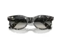 Ray-Ban Wayfarer Oval Zonnebril RB 2242 133371