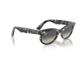 Ray-Ban Wayfarer Oval Zonnebril RB 2242 133371