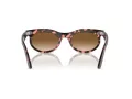Ray-Ban Wayfarer Oval Zonnebril RB 2242 133451
