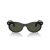 Ray-Ban Wayfarer Oval Zonnebril RB 2242 901/31
